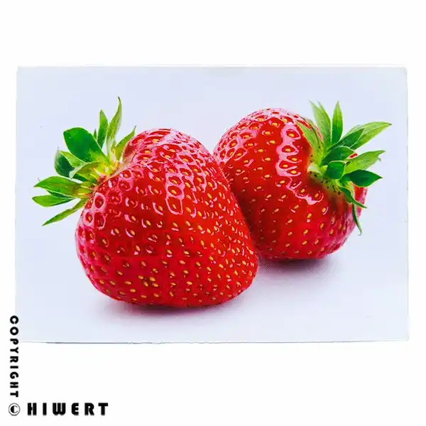 خرید فلش کارت آموزشی میوه‌ها (۱۸ کارت سایز بزرگ ۱۶×۱۱). دارای عکس واقعی و طبیعی میوه، نام انگلیسی و توضیحات علمی